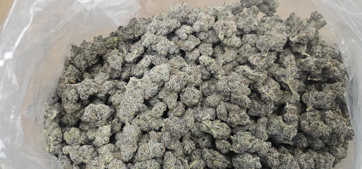 Apple Fritter Flower